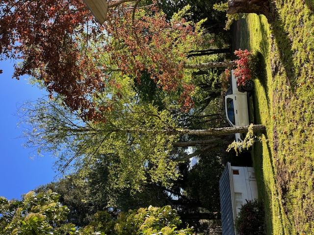 1 Bedroom Property for Sale in Hogsback Eastern Cape